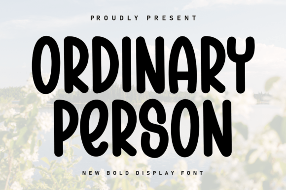 Ordinary Person: A Playful Display Typeface for Modern Web Design